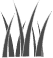 Lawn icon