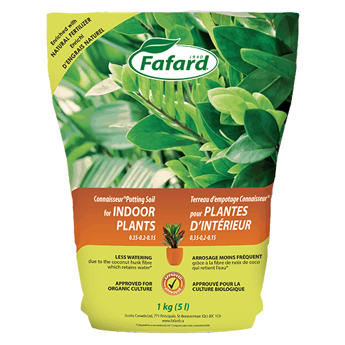 Terreau d'empotage Connaisseur® pour PLANTES D'INTÉRIEUR - Scotts Fafard