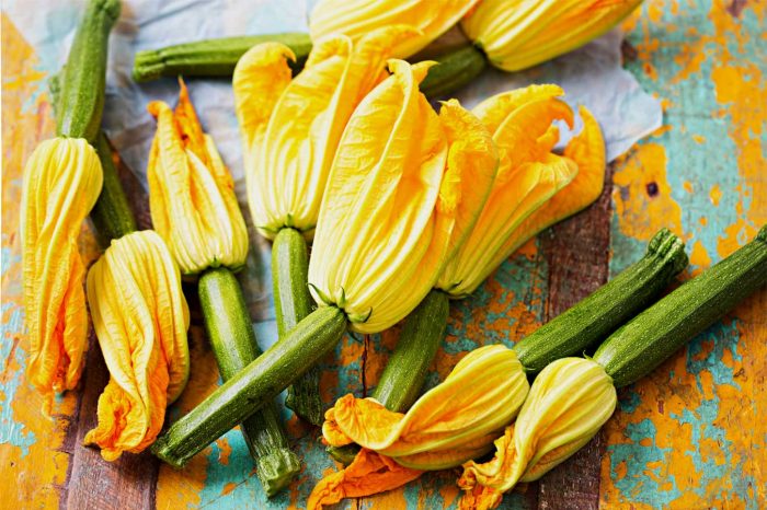 Top 6 edible flowers to grow in the garden