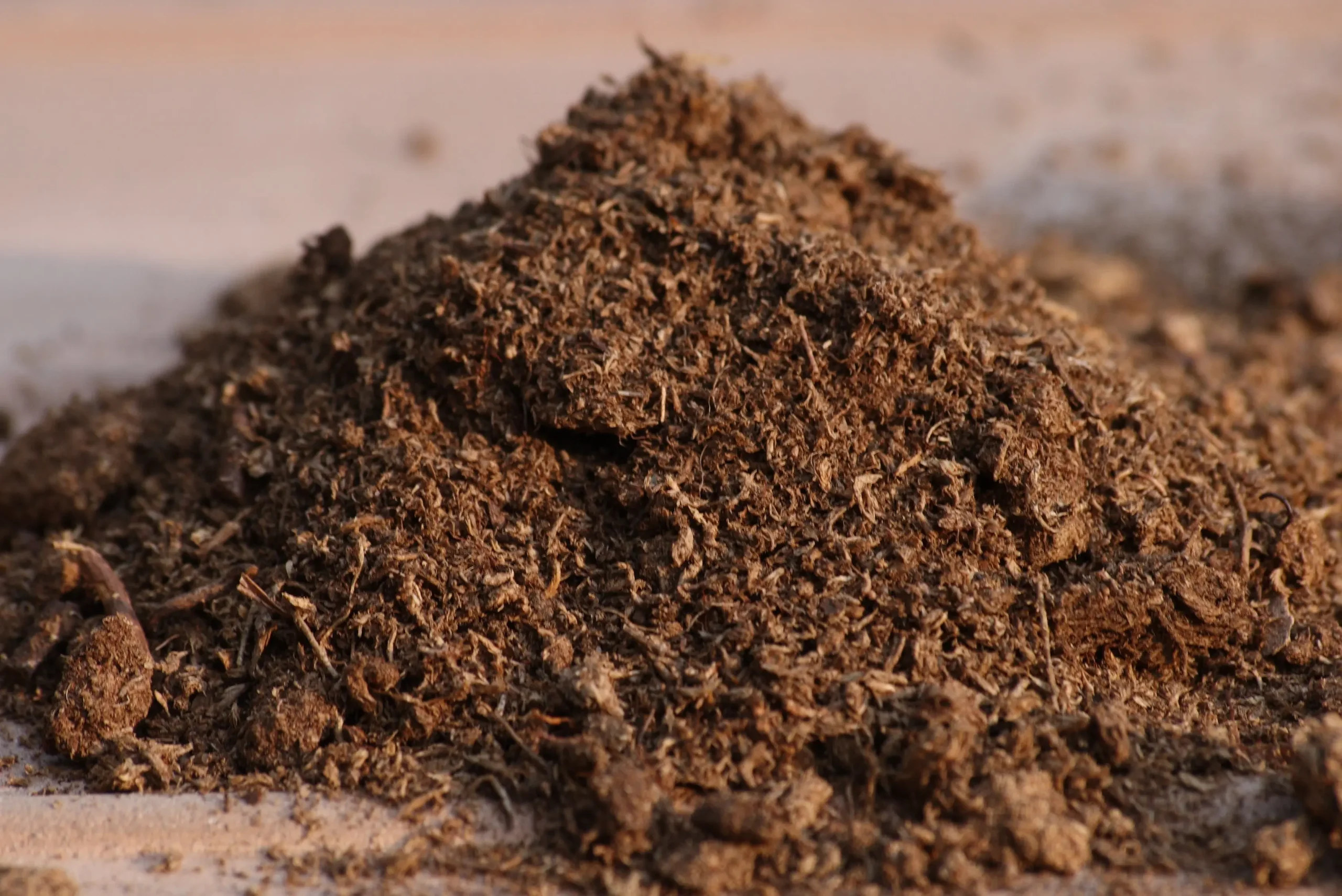 La tourbe de sphaigne est couramment utilisée comme composante dans les terreaux horticoles grâce à sa capacité à retenir l’eau.
